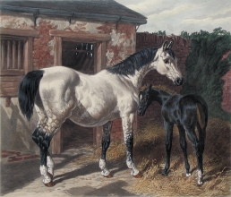 U329I - Hunting mare and foal