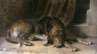 F043 - Sentinel (Bloodhound)