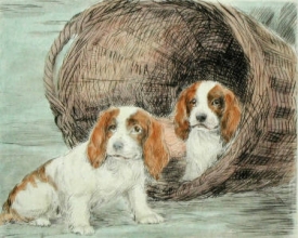 S005A - Two Pups in Basket 