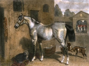 E253I - Cavalry Horse 