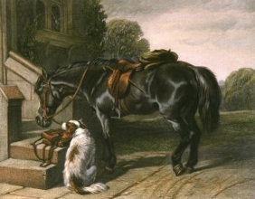 E253E - Postman's Horse 