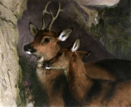 A125 - Honeymoon, The (Deer) 