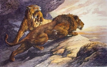 C119 - Alarm, The (Lion) 