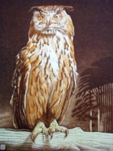 S223 - Turkmenian Owl 
