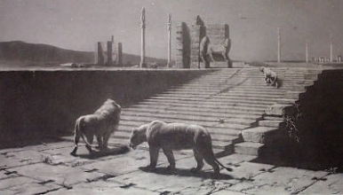 B216 - Persepolis