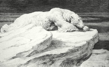 E057 - Polar Bear at Rest 