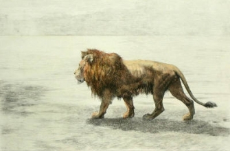 F061 - Lion on the Prowl 