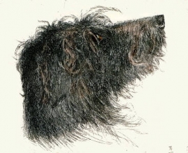 L030A - Deerhound Head 