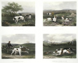 L387 - Sporting Dogs (4 on Plate) 