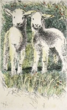 P619 - Lambs
