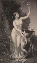 FE205