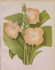 GA112
