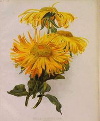 GA129
