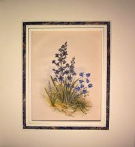 Lotto 8 fiori Garden blu 3/8