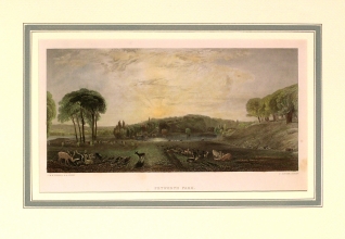 Petworth Park ART58