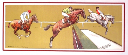 FE245