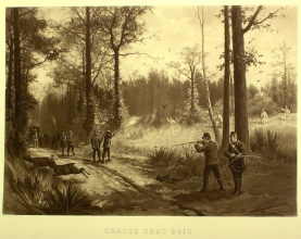 FE291 - Chasse sous bois