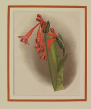 GA130