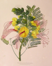 GA151