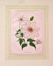 GA159