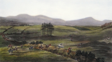 U322B - The Kildare, cry help to Copelands Gorse