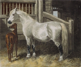 U329B - Cart mare and foal