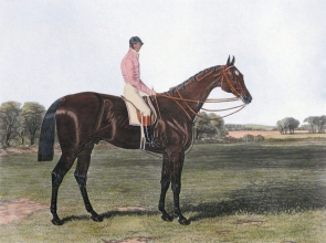 U316N - Coronation