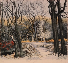 Q212D - Winter gold