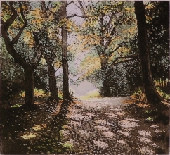 Q212C - Mellow autumn