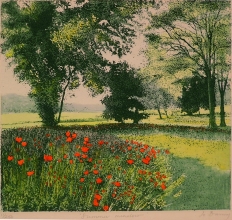 Q212B - Summer meadow