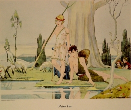 N311 - Peter Pan