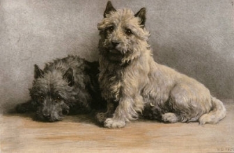 C023 - Hope (Two Dogs)