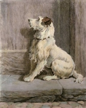 F042 - Prodigal (Dog)