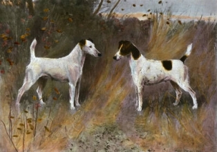 H056 - Rival Beauties