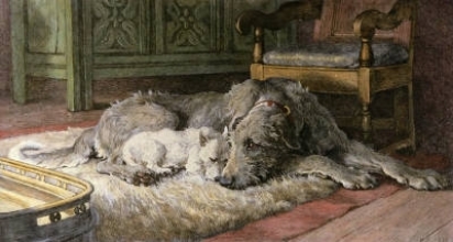 B032 - Comrades (Two Dogs)