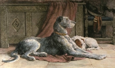 F045 - Patience (Deerhound)