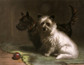 B148 - Scottie & Khaki
