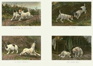 D252 - When We Were Pups Together