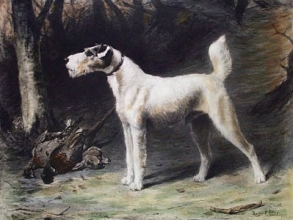 B132 - Cackler (Dog)