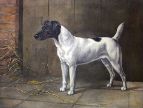 H037 - D'orsay, Champion