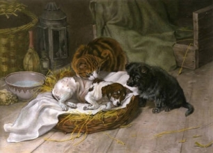 B114 - Sympathy (Doggies Better)