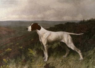H035 - Pointer of The 20th Century 