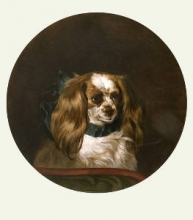 G098 - Fairy (Landseer's Spaniel) 