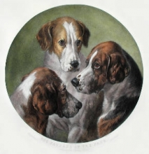 B292 - Fathers of The Pack