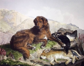 E296 - Retriever & Game