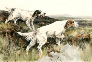 S208C - On the Moors 