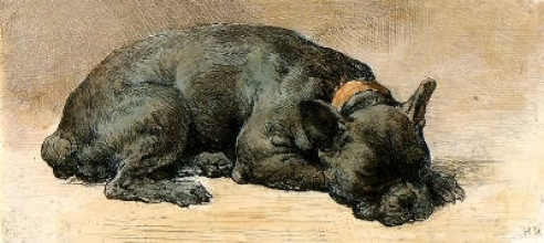 S007 - Sleeping Dog 