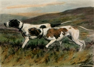S201B - Out on the Moors 