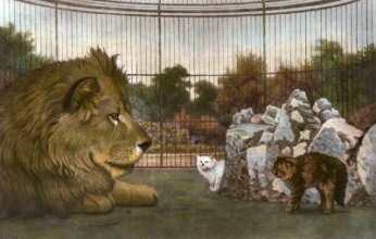 A219 - Cat May Look At A King