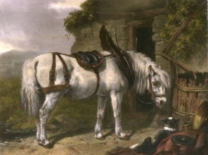 E253L - Scotch Cart Horse 